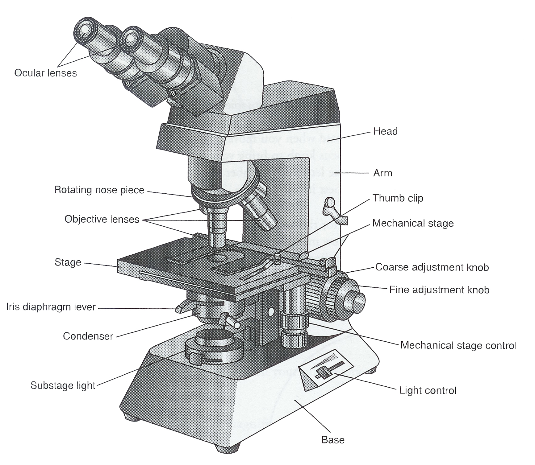 Diagram Of A Microscope With Labelling